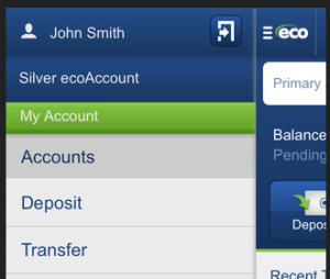 ecoPayz App - Transfer
